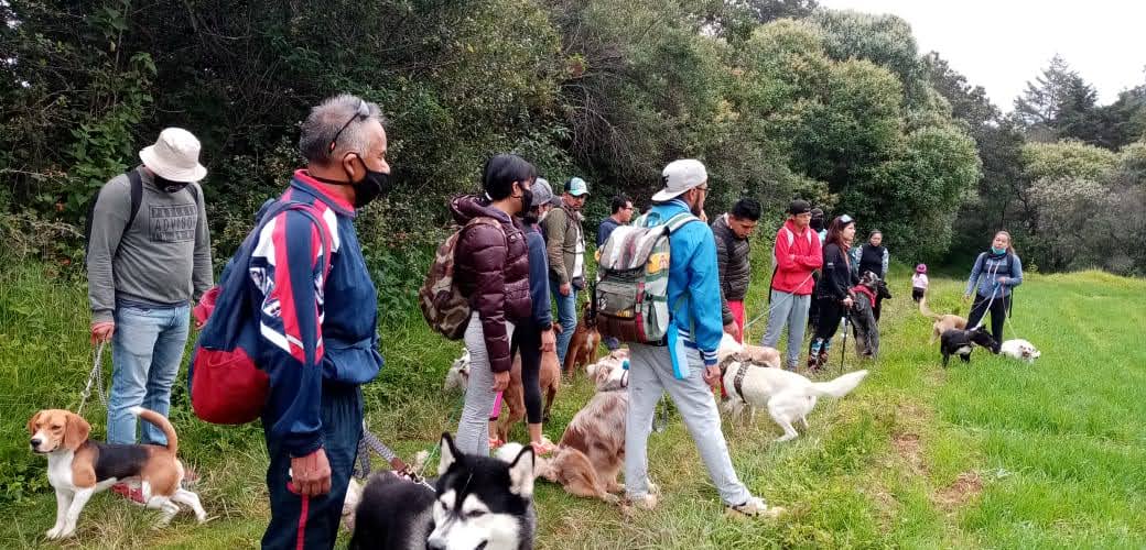 Ruta de senderismo Pet-Friendly